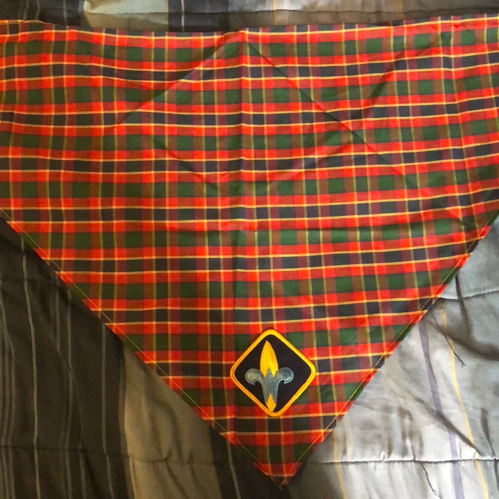 BSA Boys Scout Cub Scout Webelos Neckerchief
